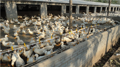 �B(y��ng)���O(sh��)��-�� ˮ��