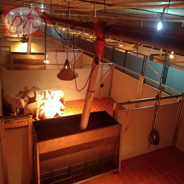 ������,С�i�����ᣬ�߶˱�����λ�����ر�����